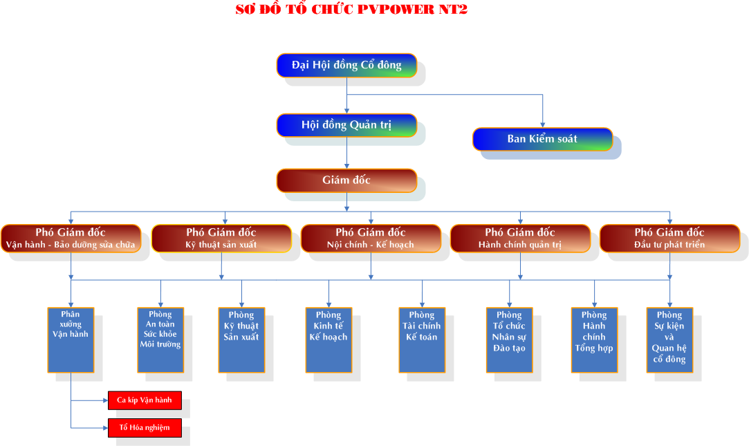 Sơ đồ tổ chức NT2 2015