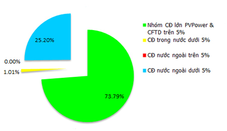 NT2, co dong, co cau