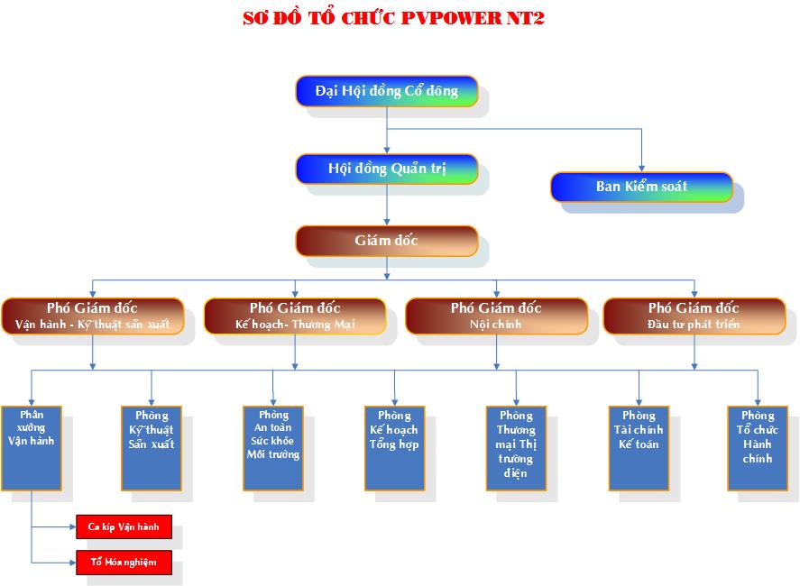 Sơ đồ tổ chức NT2 2015