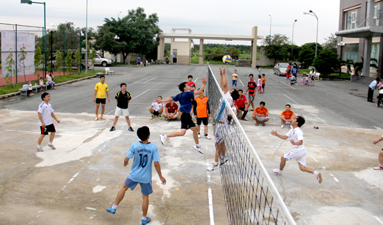 NT2, Hội thao, bóng chuyền